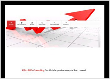 Site Web Dynamique pour la société de consulting FIDU.PRO