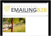 Site internet institutionnel d'Emailing B2B qui est une société de web marketing B2B elle propose la gestion d'actions d'email marketing entre professionnels, grâce à des bases de données de plus de 50.000 entreprises marocaines, catégorisées par secteurs d'activités et par villes.

Technologies utilisées: HTML5/CSS3