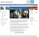 Deleanu.ro - le site web de présentation pour les procureurs de la Deleanu Vasile at Law