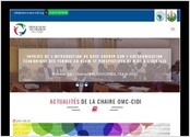 Conception, développement du site Internet de la CHAIRE OMC-CIDI (http://www.chaireomccidi.org).