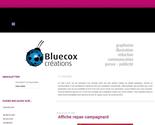 descriptif portfolio bluecox 