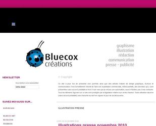 descriptif portfolio bluecox 