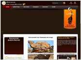 site web de l'office du tourisme du mali en francais et anglais avec beaucoup de fonctionalites

espace de telechargement
livre d'or
forum
repertoire d'hotel
galerie photo
etc.
