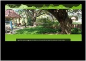 Site vitrine realise sur DIVI, et evoluant vers un Woo-commerce. Nombreux formulaires de demandes de renseignements. 
www.solidarite-cambodge.com