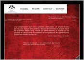 Site internet d'un jeune romancier pour la promotion et la vente de son livre.