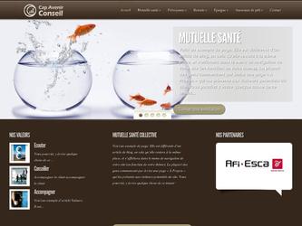 Site Internet de la soci&eacute;t&eacute; Cap Avenir Conseil