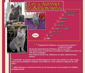 maintenance site chats Chartreux