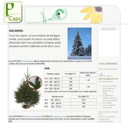 Simple page de promotion des produits saisonniers d un horticulteur