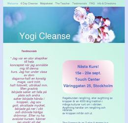 site d une professeure de yoga su&eacute;doise