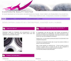 Site internet: cr�ation de la structure, remaniement des textes du client et de leurs pr�sentations. Configurer pour �tre trilingue FR-NL-EN, actuellement seulement en fran�ais.Cr�ation du logoCr�ation de la carte de VisiteCr�ation d un Flyers Format US R/V