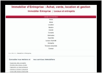 Site Internet en Immobilier Entreprise concernant  le secteur de l estimation immobilire et expertise local commercial en France.