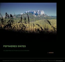 P&eacute;pin&egrave;res Full Flash