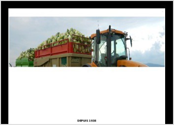 Sites vitrines pour la choucrouterie Henry Rieffel & Choucrouterie Oswald avec un backoffice commun.