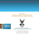 Site vitrine développé en flash pour du conseil aide au choix ERP 