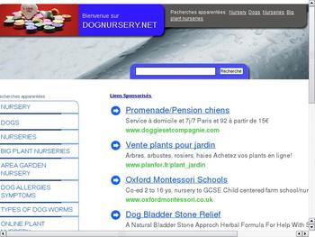 descriptif portfolio nbea 