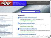 descriptif portfolio nbea 