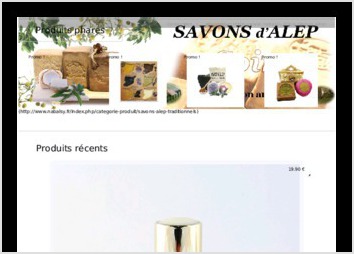 Utilisation du CMS Wordpress afin de cr&eacute;er un site internet marchand. 
Design avec CSS3, boostrap, HTML5, Javascript JQUERY