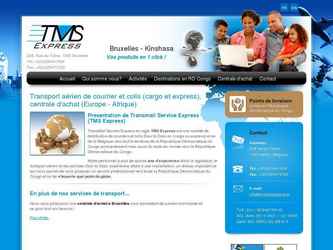 Création site internet CMS TYPO3, design, LOGO, intégration des textes, photos, etc...
