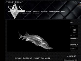 site e-commerce r&eacute;alis&eacute; avec prestashop:
- retouche d'une maquette photoshop qui avait &eacute;t&eacute; r&eacute;alis&eacute; par un graphiste
- installation de prestashop, installation de diff&eacute;rents modules, adaptation des modules aux besoins du site: via le code javascript, php
- creation du theme du site en suivant la methodologie prestashop: edition des fichiers css
- mise en production: achat de nom de domaine, tests, mise en place du paiement avec paypal et carte de credit