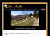Déploiement d'un site vitrine Joomla avec un template spécifique.
Installation de différents modules tel que la galerie photos et la zone d'affichage des animations.
Réservation d'un nom de domaine avec paramétrage du serveur pour la base de données, les adresses mails, etc...
Création de pages sur les réseaux sociaux tel que Facebook et Google+.