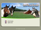 Les Pie de Morinda, élevage de chevaux de compétition, nous ont fait confiance pour la réalisation de leur nouveau site internet. Basé sur une plateforme Dotclear, ce site est décliné en trois langues.
