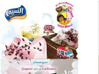 D&eacute;veloppement d�une application Facebook int&eacute;gr&eacute;e &agrave; la page fan Nassim.