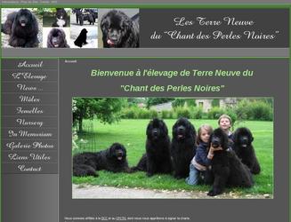 - Site dynamique &agrave; gestion de contenu
- Partie Administrateur de gestion et de mises &agrave; jour
- Webdesign
- R&eacute;f&eacute;rencement en cours