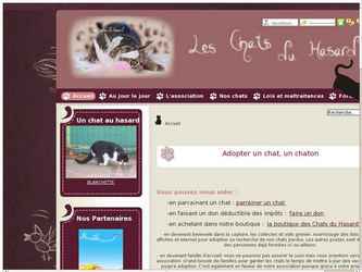 L'ancien site de l'association &eacute;tait sous un h&eacute;bergement gratuit rempli de publicit&eacute;s en tous genres nuissant &agrave; son r&eacute;f&eacute;rencement et son s&eacute;rieux. Le site actuel a &eacute;t&eacute; con&ccedil;u sous Joomla afin de proposer une solution simple de mise &agrave; jour des articles par les diff&eacute;rents membres de l'association.
Les chats peuvent d&eacute;sormais &ecirc;tre pr&eacute;sent&eacute;s via un panel de photo ainsi que par de nombreuses informations relatives &agrave; leur sant&eacute; et leur caract&egrave;re.

Ce site a &eacute;t&eacute; r&eacute;alis&eacute; gratuitement afin de permettre aux chats de l'association d'avoir un peu plus de chance de trouver une famille d�accueil.