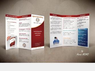 pour ce contrat, il nous a &eacute;t&eacute; demand&eacute; de produire un d&eacute;pliant pr&eacute;sentant un cabinet d'experts en renforcement de capacit&eacute;s.