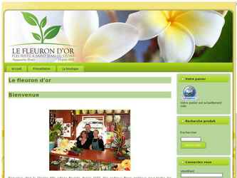 Ce site est joli mais h&eacute;las il est mal r&eacute;f&eacute;renc&eacute; car le client le met tr&eacute;s peu &agrave; jour.
Sous Joomla il faut absolument que le client fasse vivre son site si on veut avoir un bon r&eacute;f&eacute;rencement, mes autres clients sont en g&eacute;n&eacute;ral mieux r&eacute;f&eacute;renc&eacute;s car il font vivre leur site (voir par exemple http://www.isolation-ouate-cellulose-herault.fr/ qui est toujours en premi&egrave;re page car il publie du contenu sur son site.