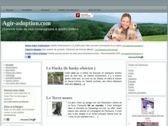 racine chien, toilettage, alimentation, spor-canin, annuaire, map,  