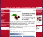 Création et formation au CMS